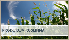Produkcja Roślinna
